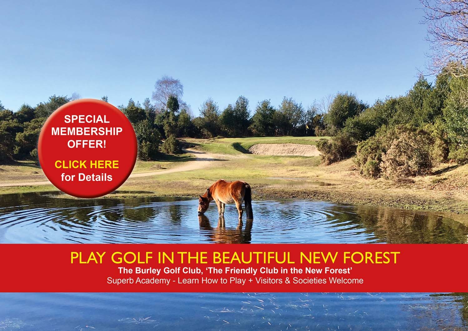 Home :: Golf club and golf course in Ringwood Hampshire with available Home :: Golf club and golf course in Ringwood Hampshire with available